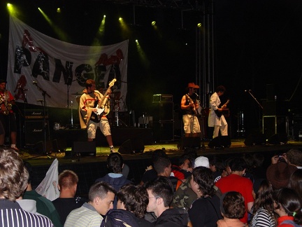 rockincambre2008-17