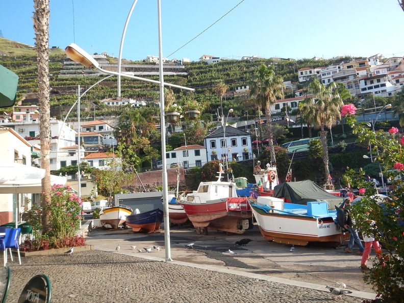Madeira-466