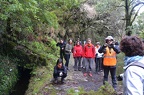 Madeira-222