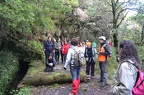 Madeira-223