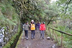 Madeira-230