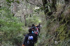 Madeira-235